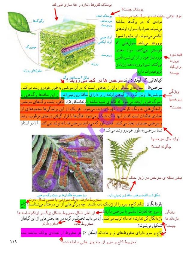 پاسخ فصل دوازده علوم نهم  صفحه 4