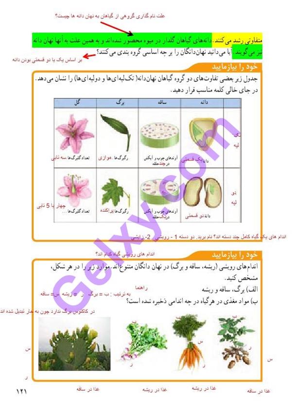 پاسخ فصل 12 علوم نهم  صفحه 6