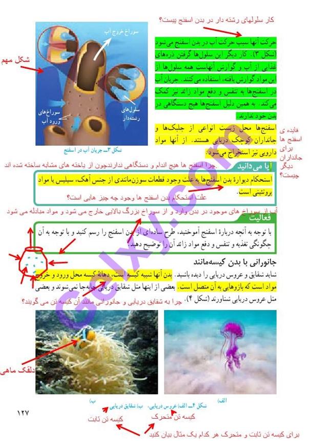 پاسخ فصل سیزده علوم نهم  صفحه 2