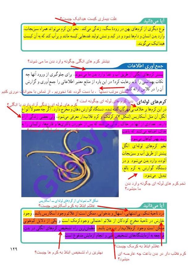 پاسخ فصل سیزده علوم نهم  صفحه 4