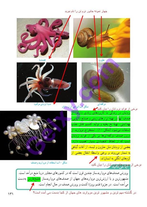 پاسخ فصل 13 علوم نهم  صفحه 6