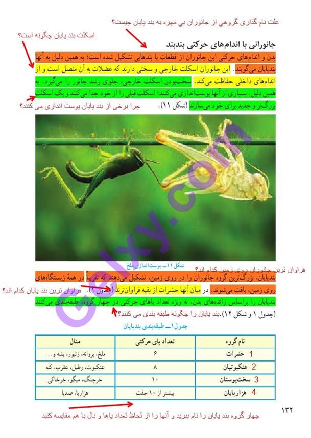 پاسخ فصل 13 علوم نهم  صفحه 7