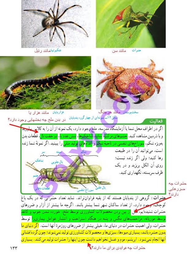 پاسخ فصل 13 علوم نهم  صفحه 8