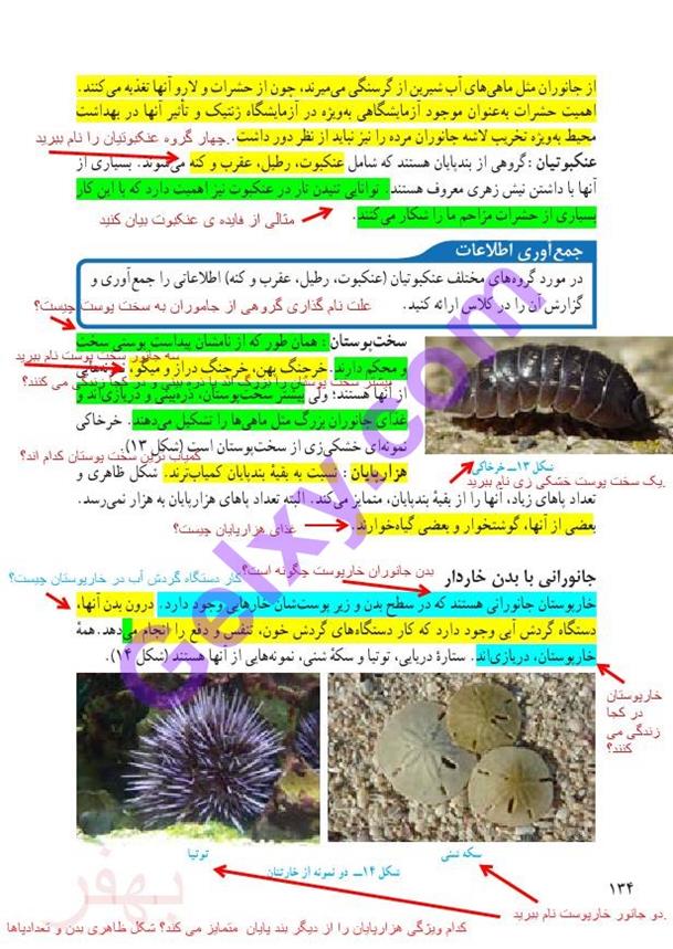 پاسخ فصل 13 علوم نهم  صفحه 9