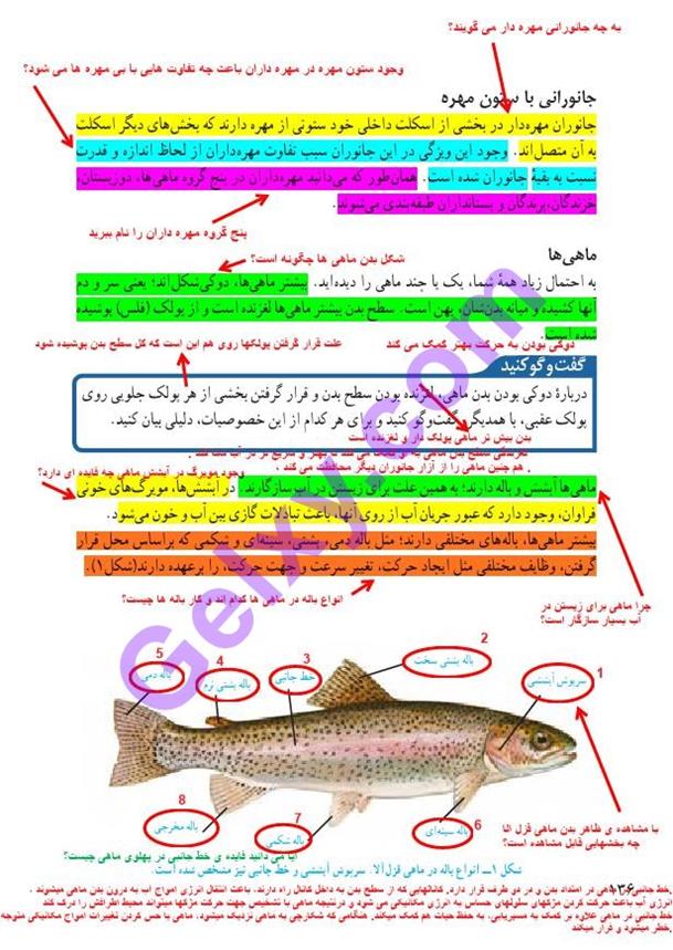 پاسخ فصل چهارده علوم نهم  صفحه 1