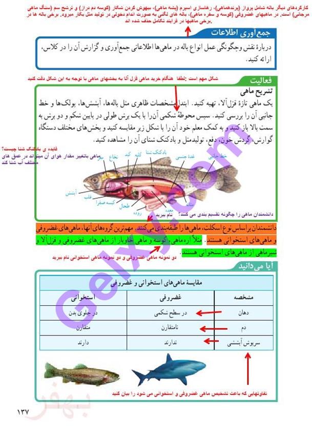 پاسخ فصل چهارده علوم نهم  صفحه 2