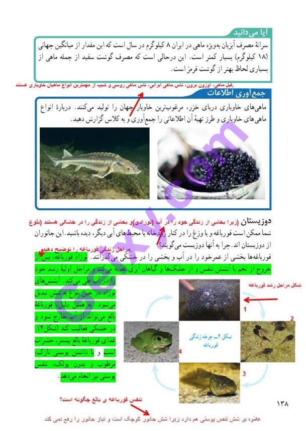 پاسخ فصل 14 علوم نهم  صفحه 3