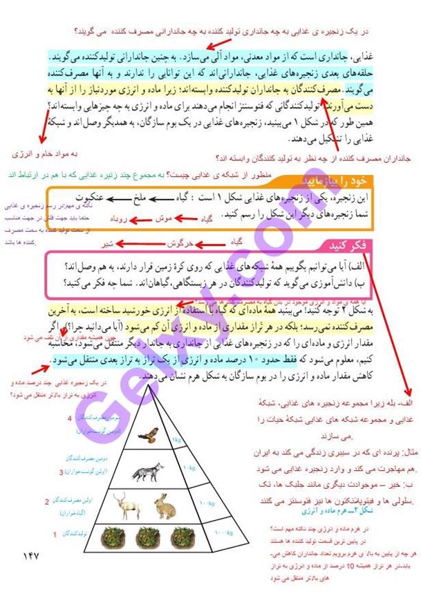 پاسخ فصل پانزده علوم نهم  صفحه 2