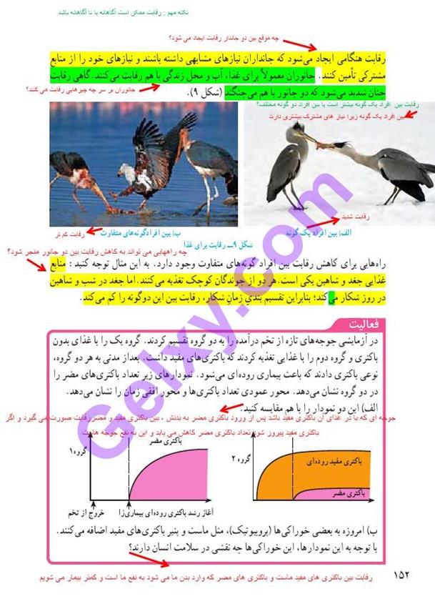 پاسخ فصل پانزده علوم نهم  صفحه 7