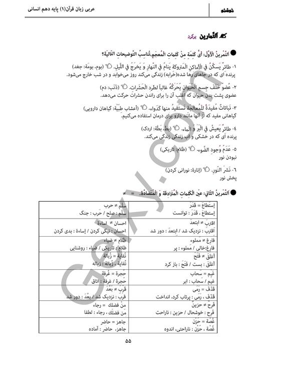 پاسخ درس 5 عربی دهم انسانی صفحه 6