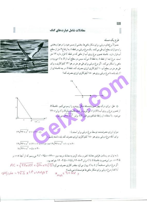 پاسخ فصل یک حسابان یازدهم ریاضی صفحه 21