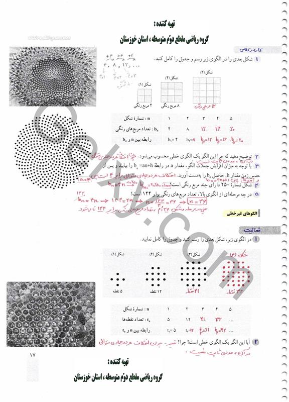 پاسخ فصل یک ریاضی دهم صفحه 17