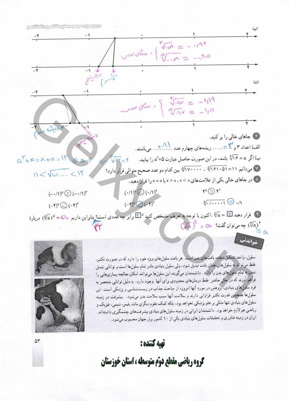 پاسخ فصل سه ریاضی دهم صفحه 7