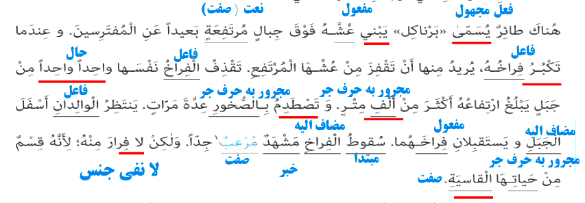 جواب تمرین صفحه ۴۶ درس ۳ عربی دوازدهم